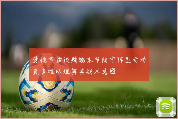爱德华兹谈鹈鹕末节防守阵型奇特直言难以理解其战术意图