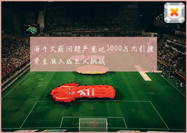 海牛欠薪问题严重达3000万元引援资金准入成巨大挑战